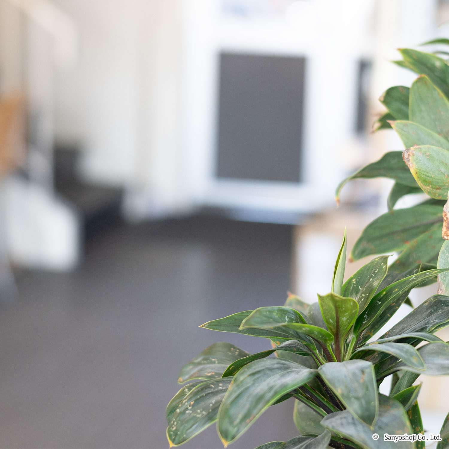 三洋商事株式会社社内風景